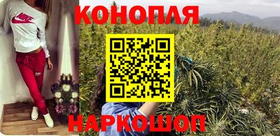 дмт Обь