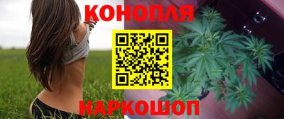 гашик Партизанск