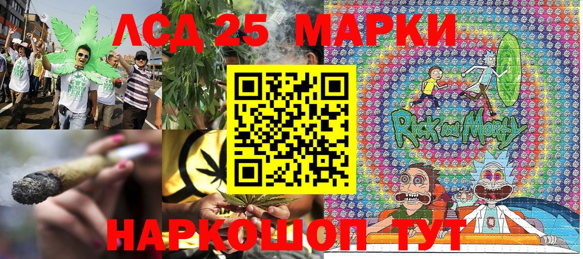 Псилоцибиновые грибы Сатка