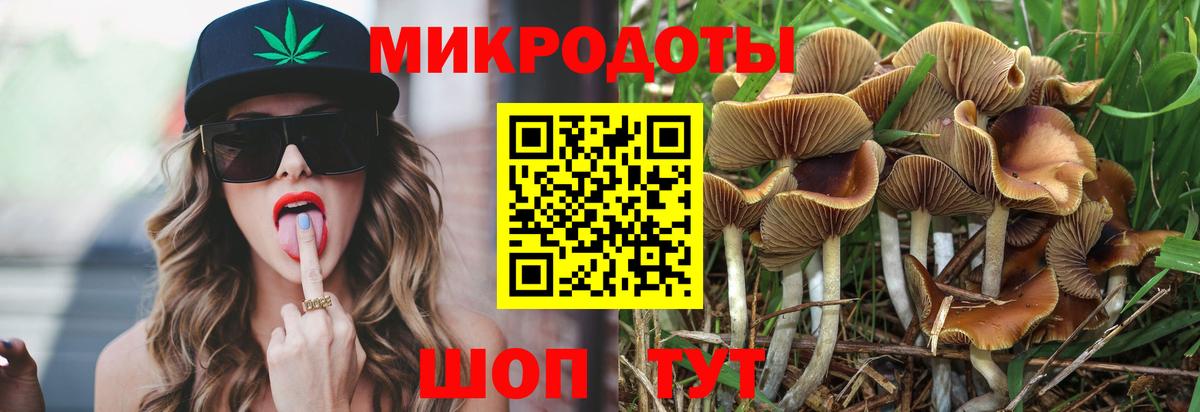 Галлюциногенные грибы Magic Shrooms  Вход с VPN  Сатка 