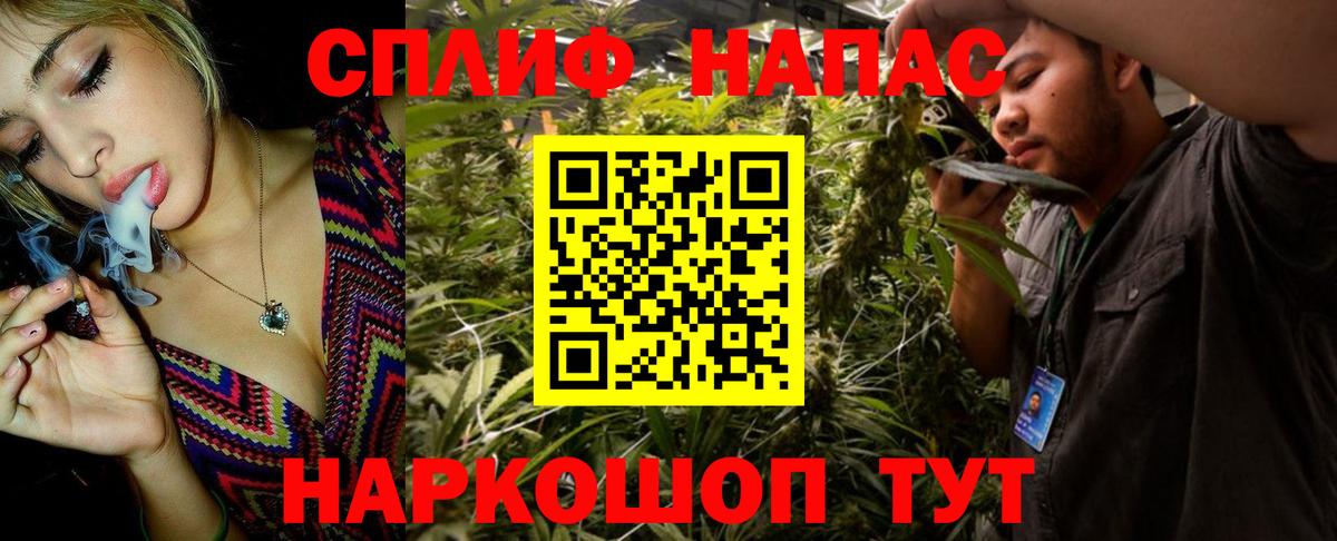Конопля AK-47  Вход с VPN  Бошки марихуана семена  Сатка 